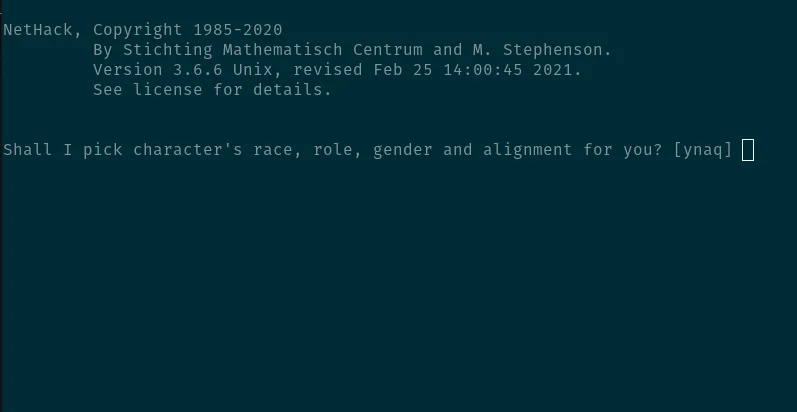 Terminal window showing Sudoku game interface